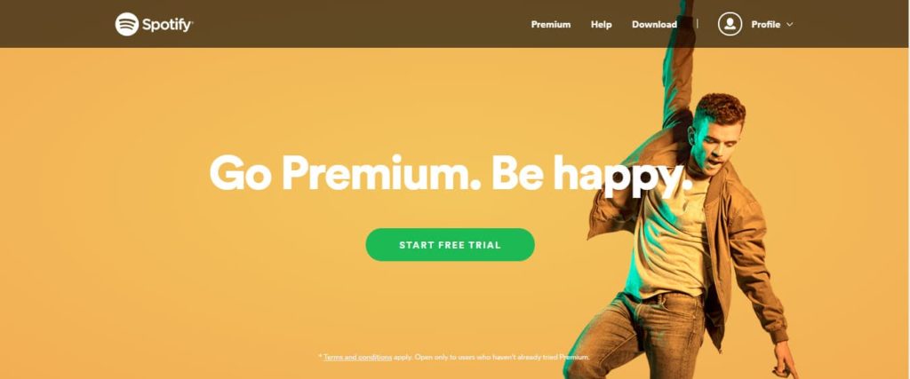 spotify premium accounts