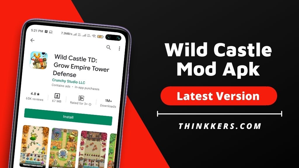 Wild castle mod