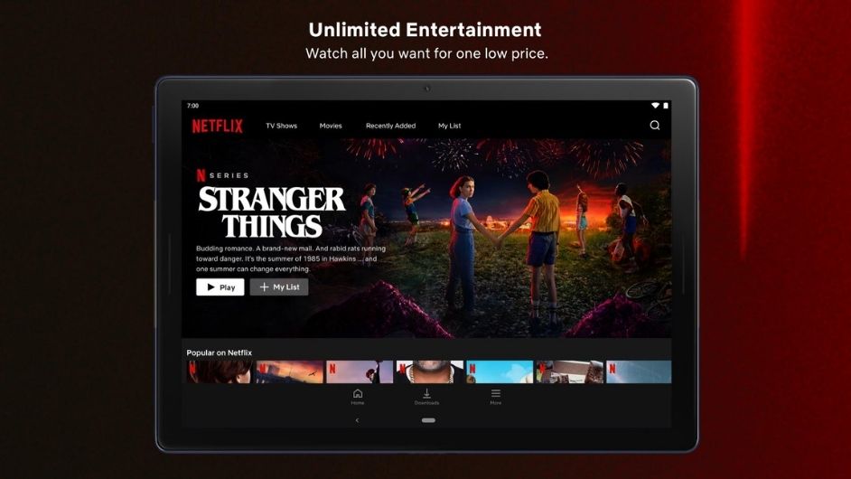 Netflix Pro Mod Apk V7 114 0 Premium Unlocked Download 2021