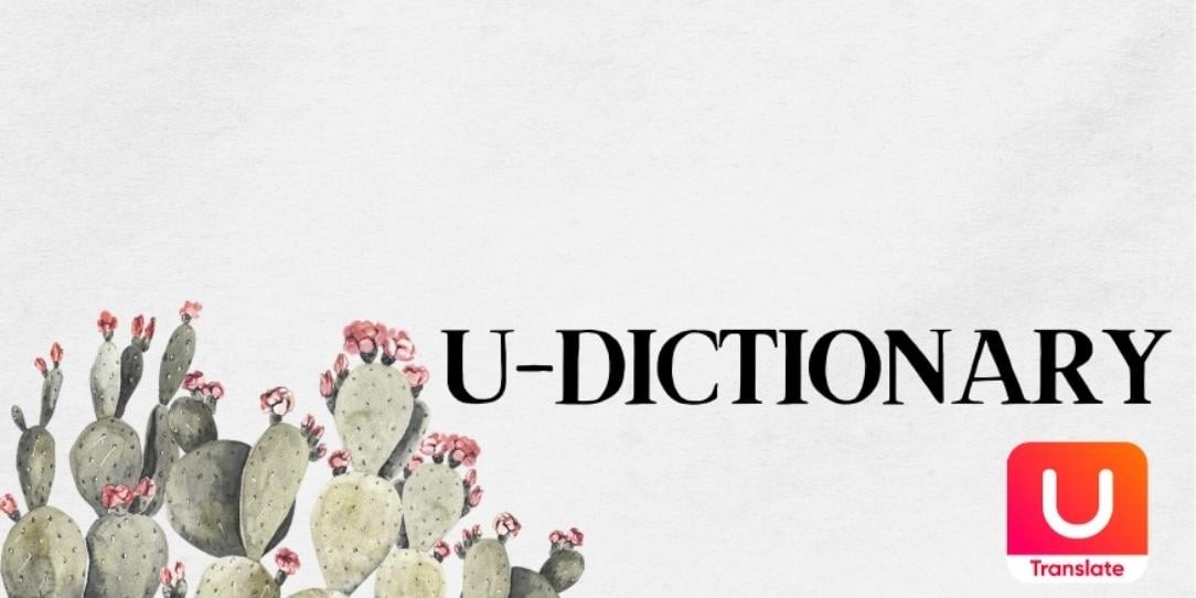 U dictionary
