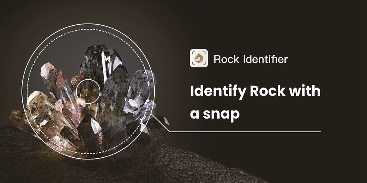Rock Identifier Stone ID MOD Apk Cover